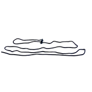 Tie Down Rope