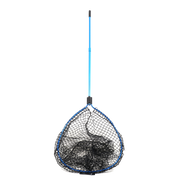 Colossus TD Net