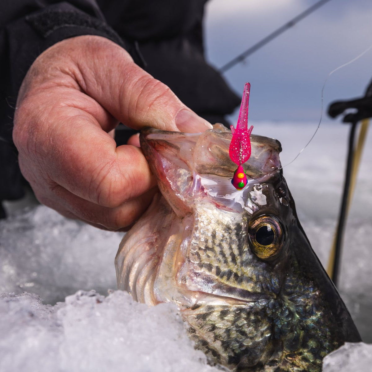 clam ice fishing lures Pinhead Pro 1/32oz / Rainbow Glow With or without bait Clam Speed Spoon