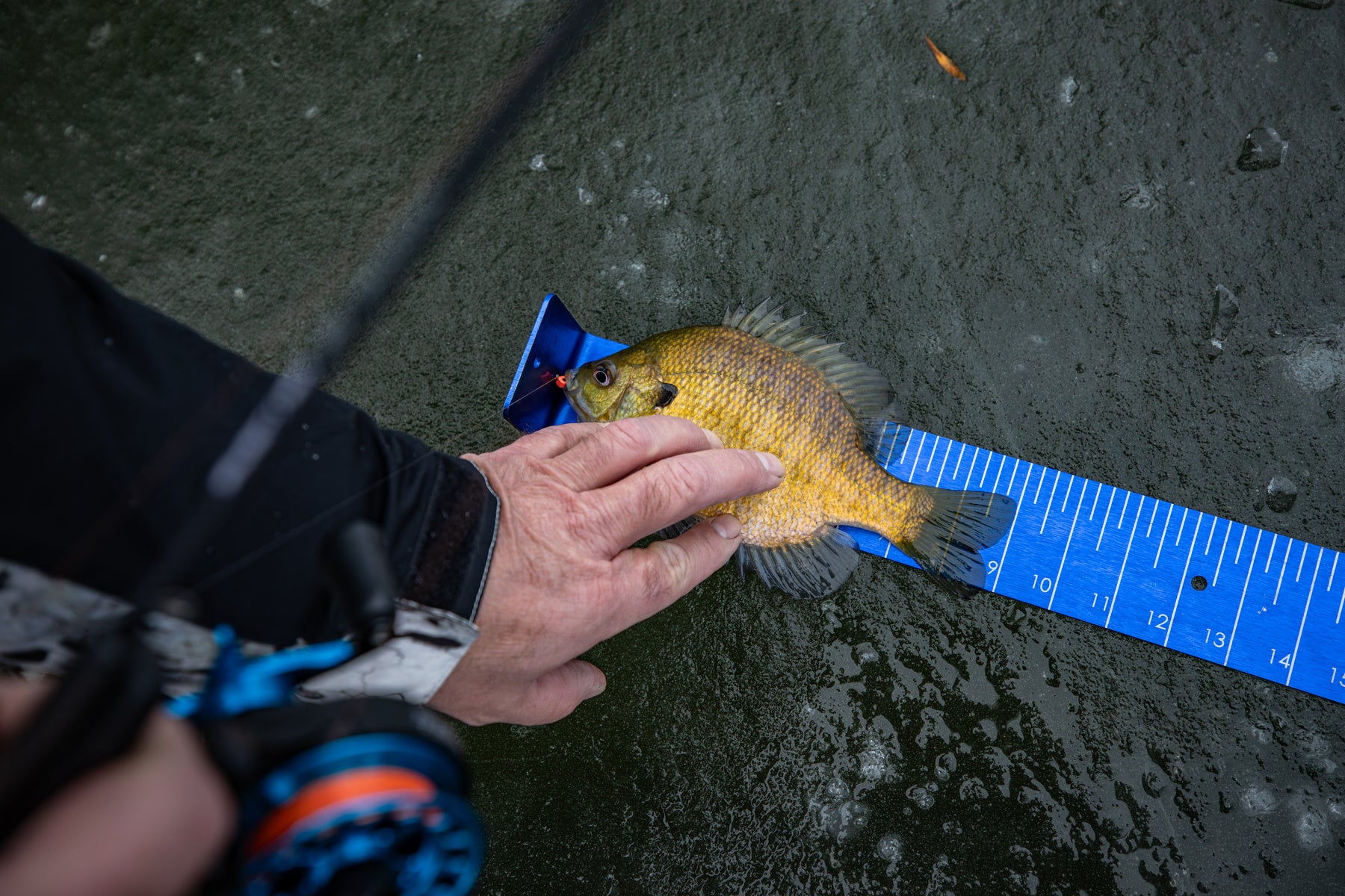 Precision Bump Board