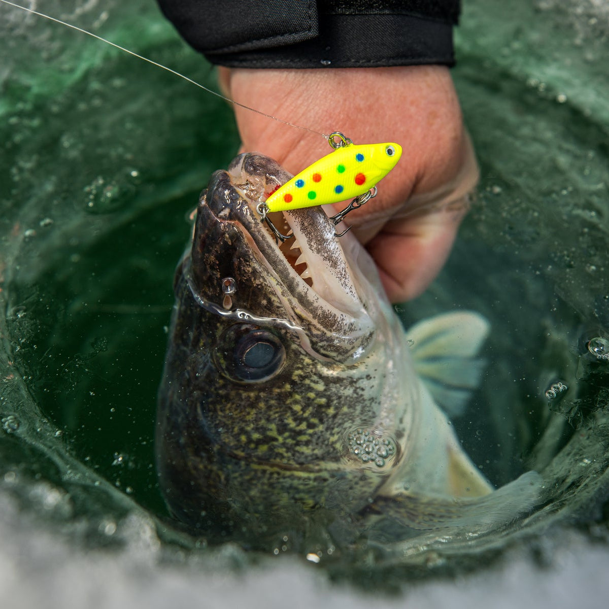 clam ice fishing lures Pinhead Pro 1/32oz / Rainbow Glow Clam 16854 Jointed Pinhead Pro Kit 1/8oz CLAM Jointed Pinhead Pro Ice