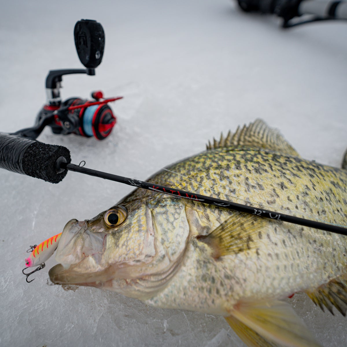 Psycho Shad