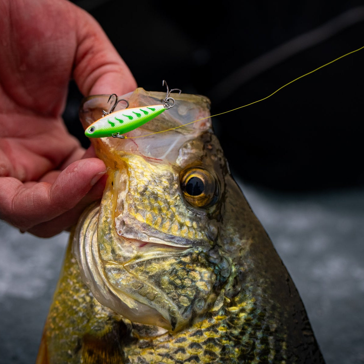 Psycho Shad
