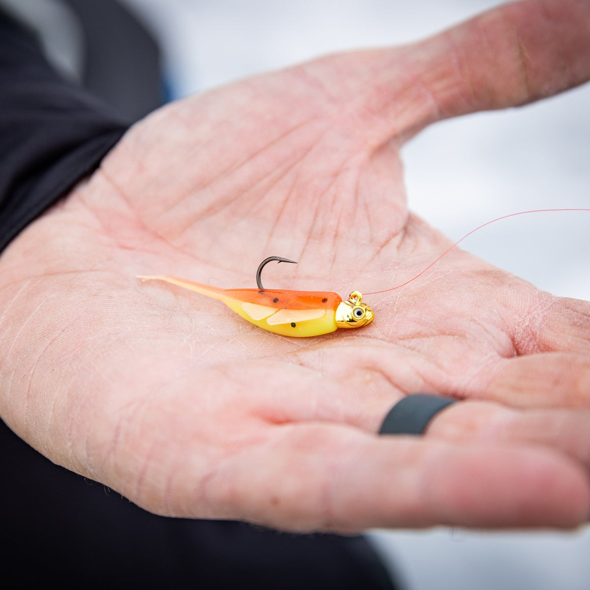 fish lure on clam Psycho Shad - Gold Shiner The Clam Pro Tackle Psycho Shad is back and better than ever Glide Drop - Matte Black