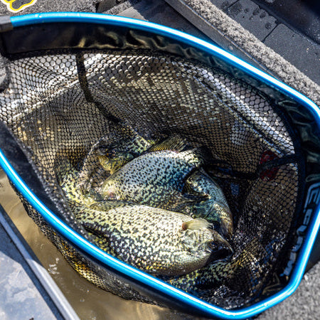 Floating Livewell and Bait Net