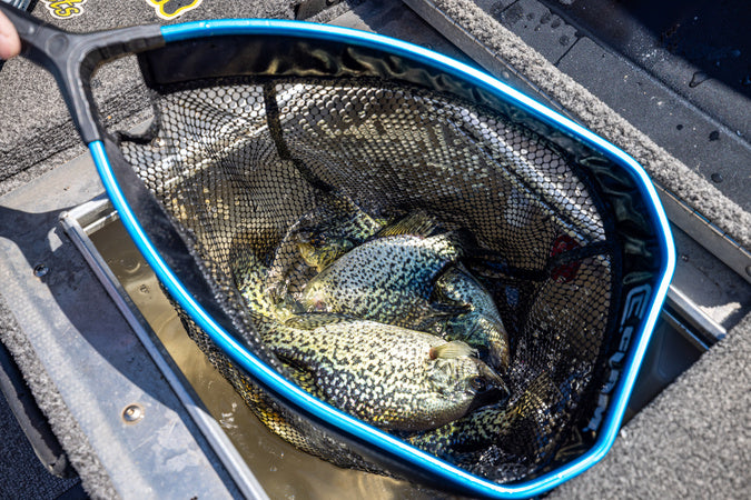 Floating Livewell and Bait Net
