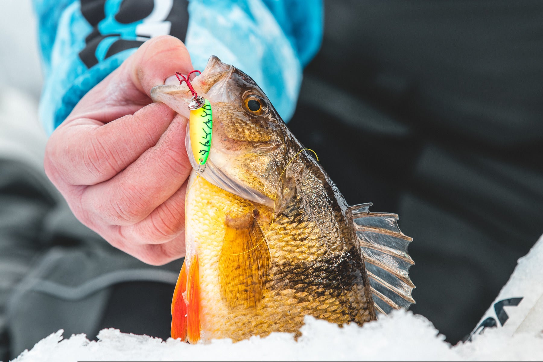 Ribbon Leech Flutter Spoon