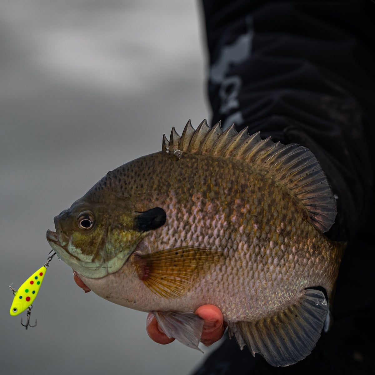 Psycho Shad
