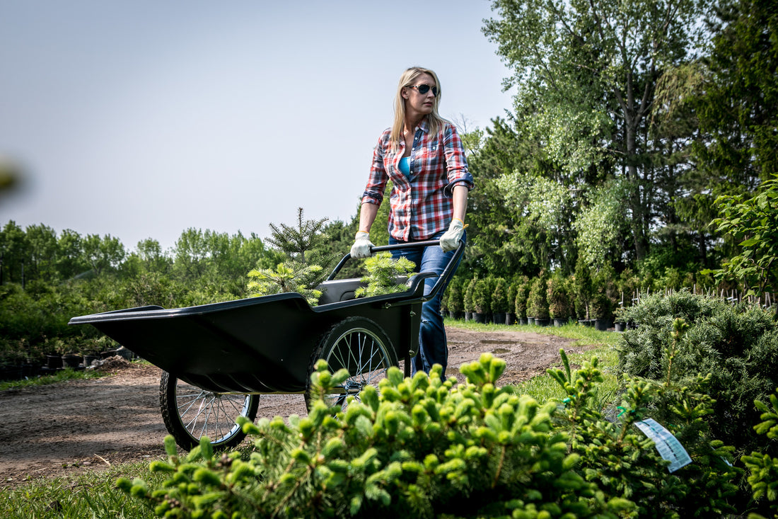 Utility Cart