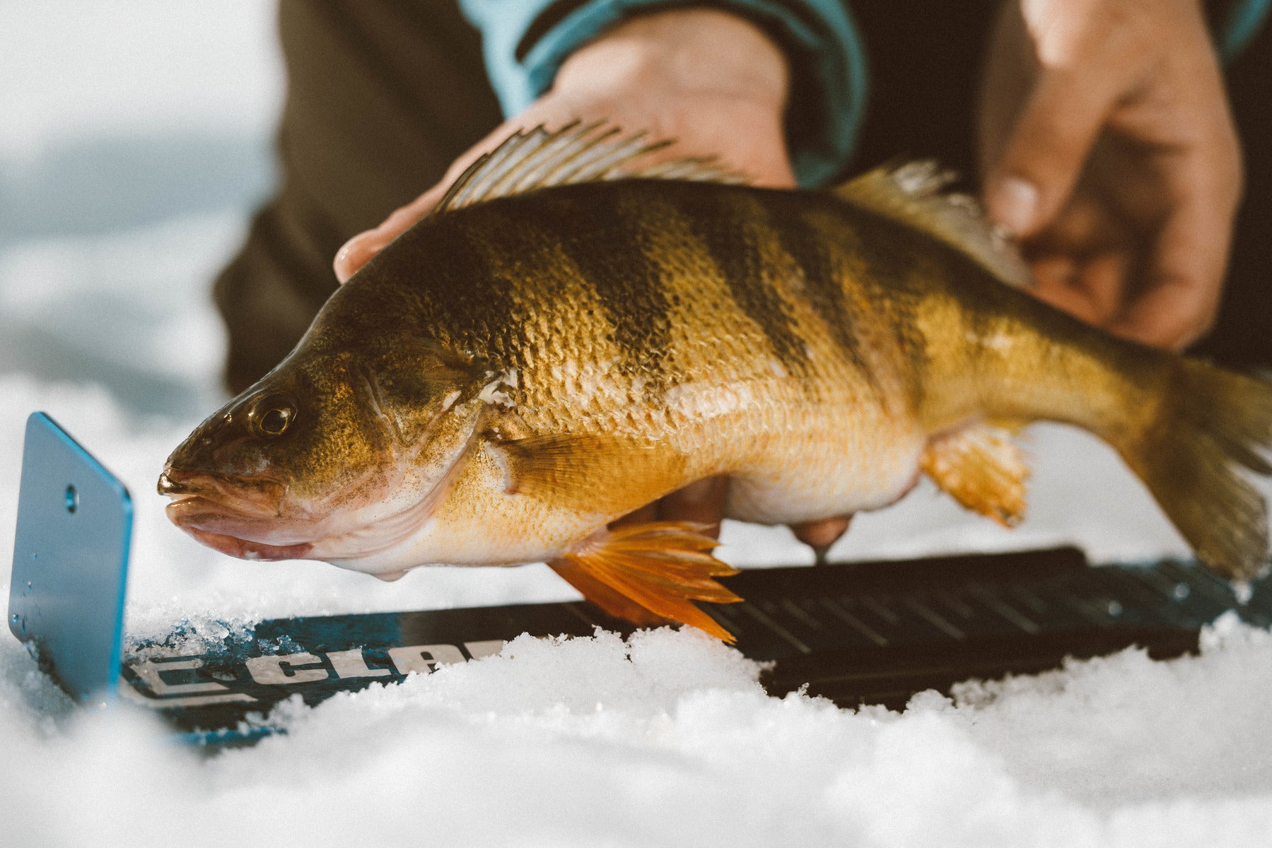 Precision Bump Board