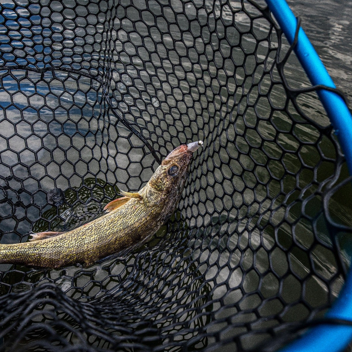 Fortis 175 Rubber Net