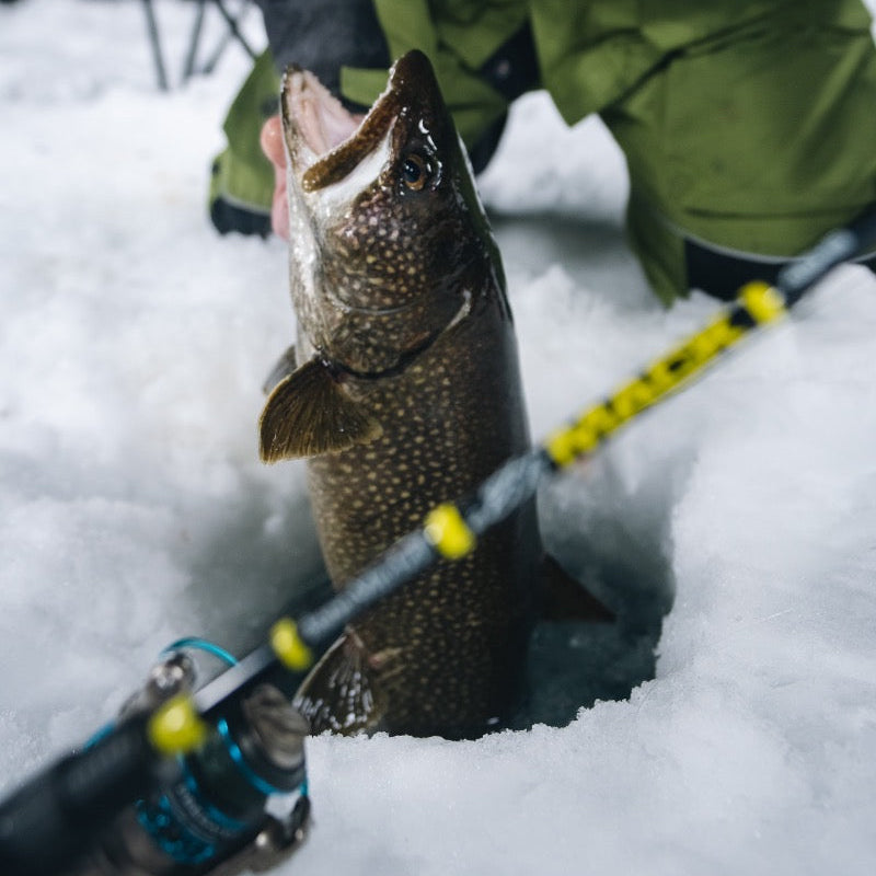 Clam 15525 The Mack Spinning Rod