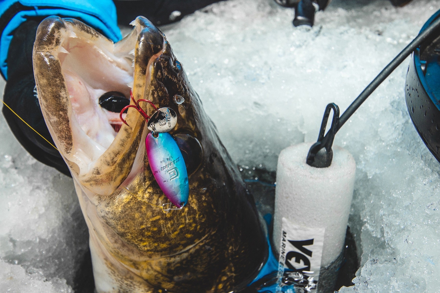 Ribbon Leech Flutter Spoon