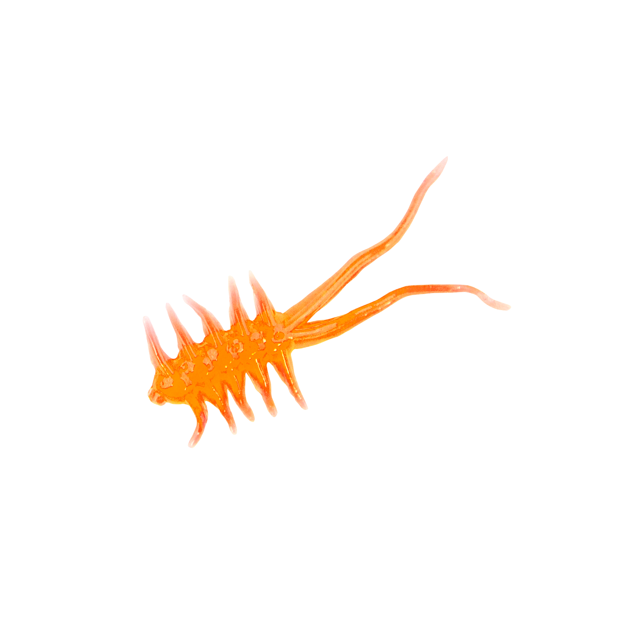 Blaze Orange Glow