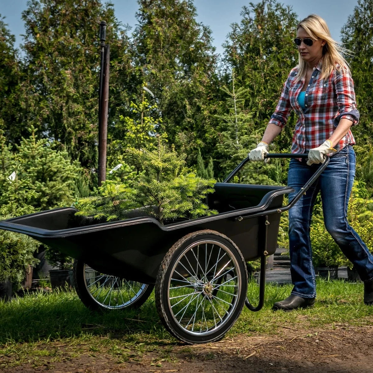 Utility Cart