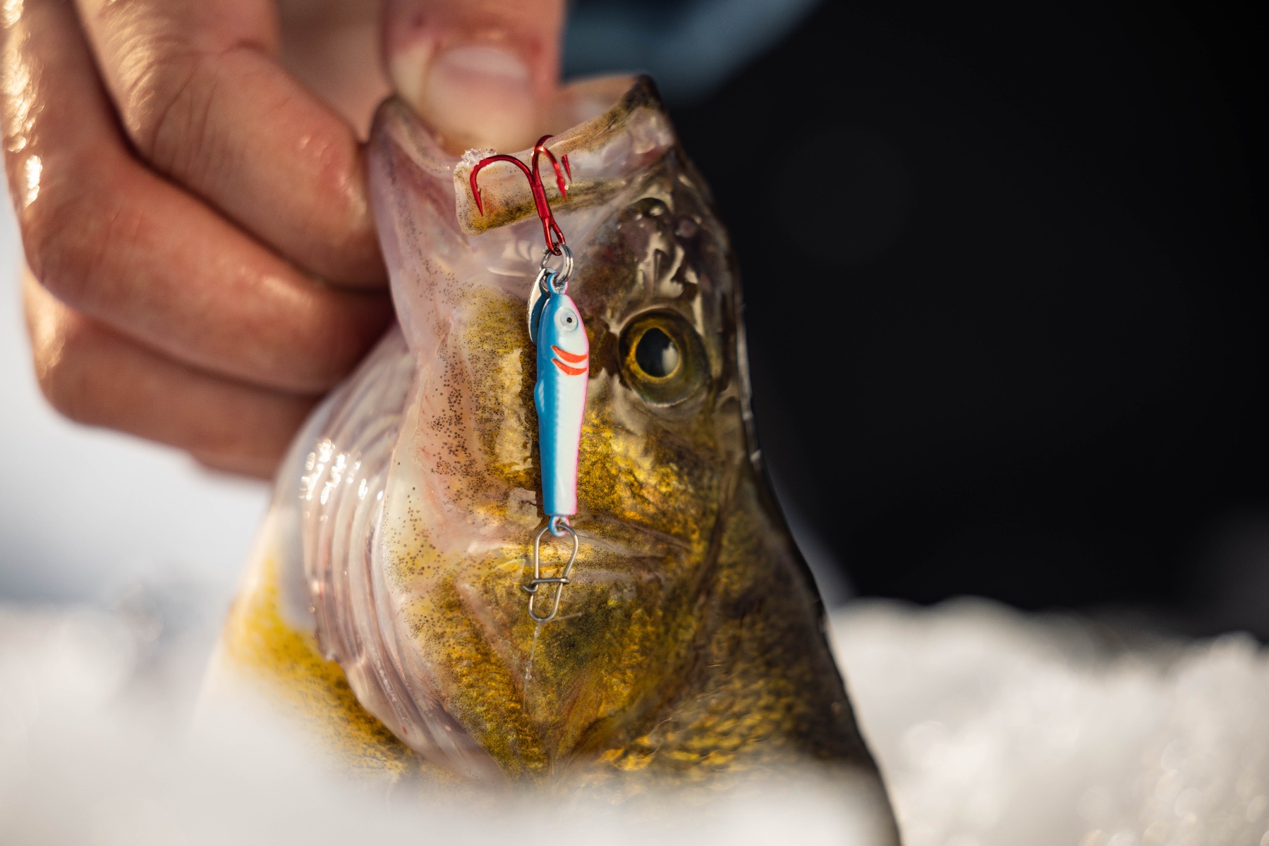 Ams Bowfishing Meat Hook Fish Retrieval Gaff - Simmons Sporting Goods