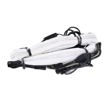 Aurora LED Light Kit - Starter Kit